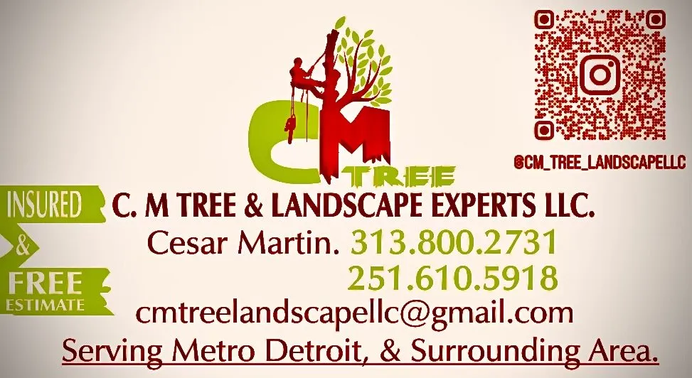 Top-rated outdoor landscaping with custom design across Plymouth, MI - Cm Tree & Landscape Experts