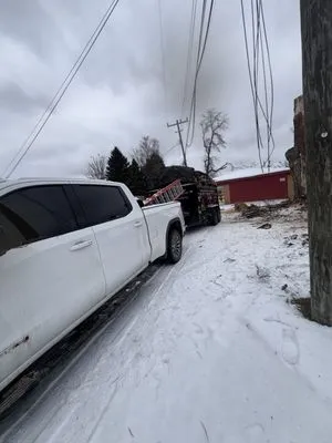 Cm Tree & Landscape Experts Logo