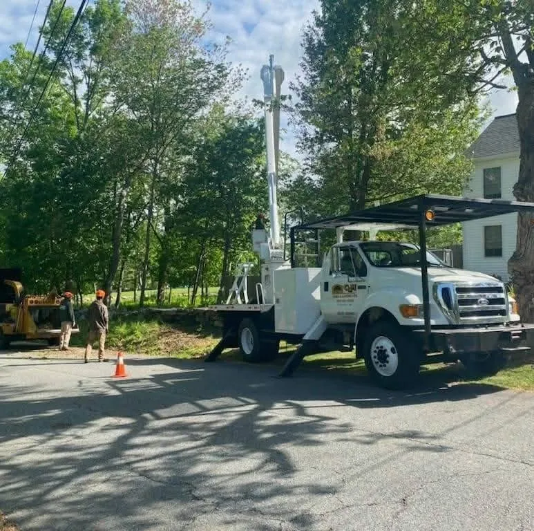 Expert outdoor landscaping in Auburn, MA by C&M Tree and Landscaping