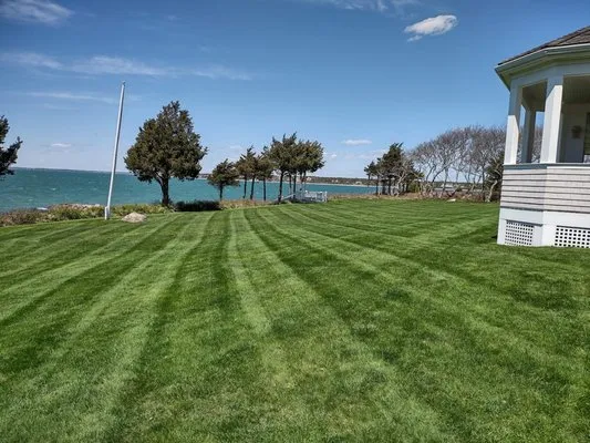 C&M Tree and Landscaping