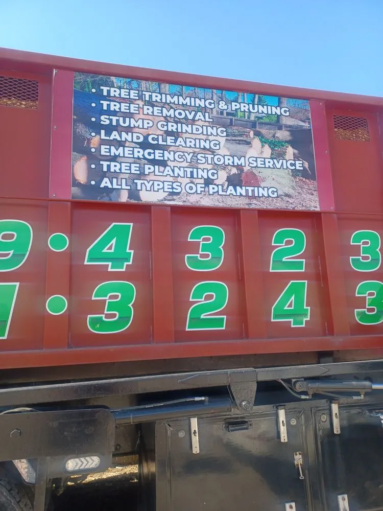 Top-rated landscape installation in Babylon, NY - CM Tree Service