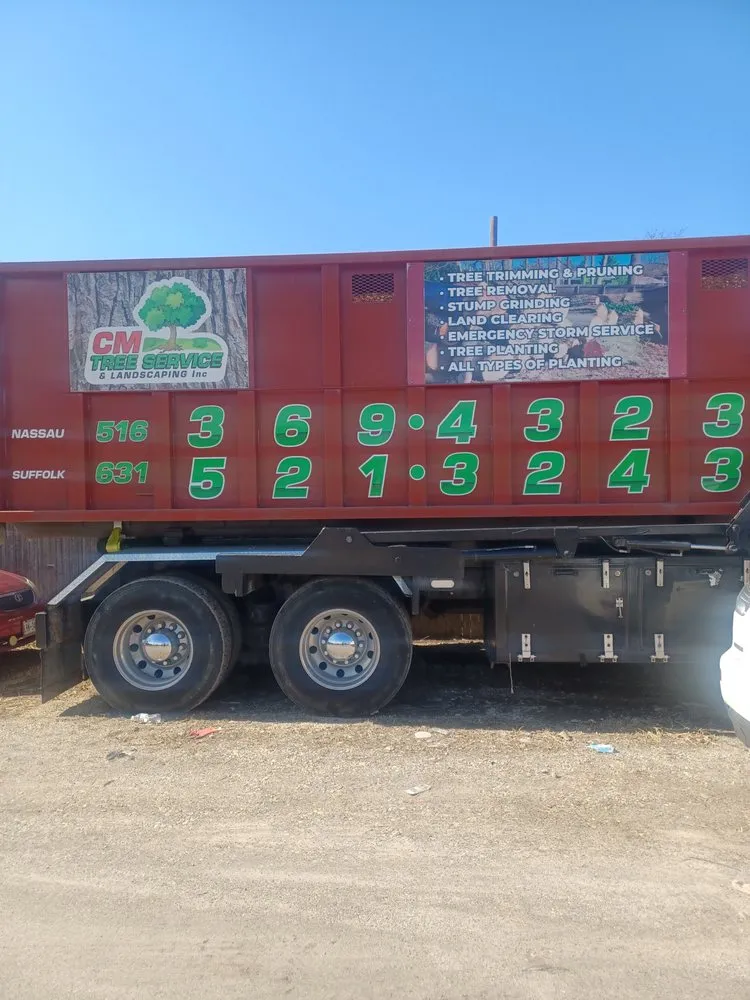 Top-rated yard cleanup service experts serving Babylon, NY - CM Tree Service