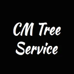 Expert outdoor landscaping for homes across Babylon, NY - CM Tree Service