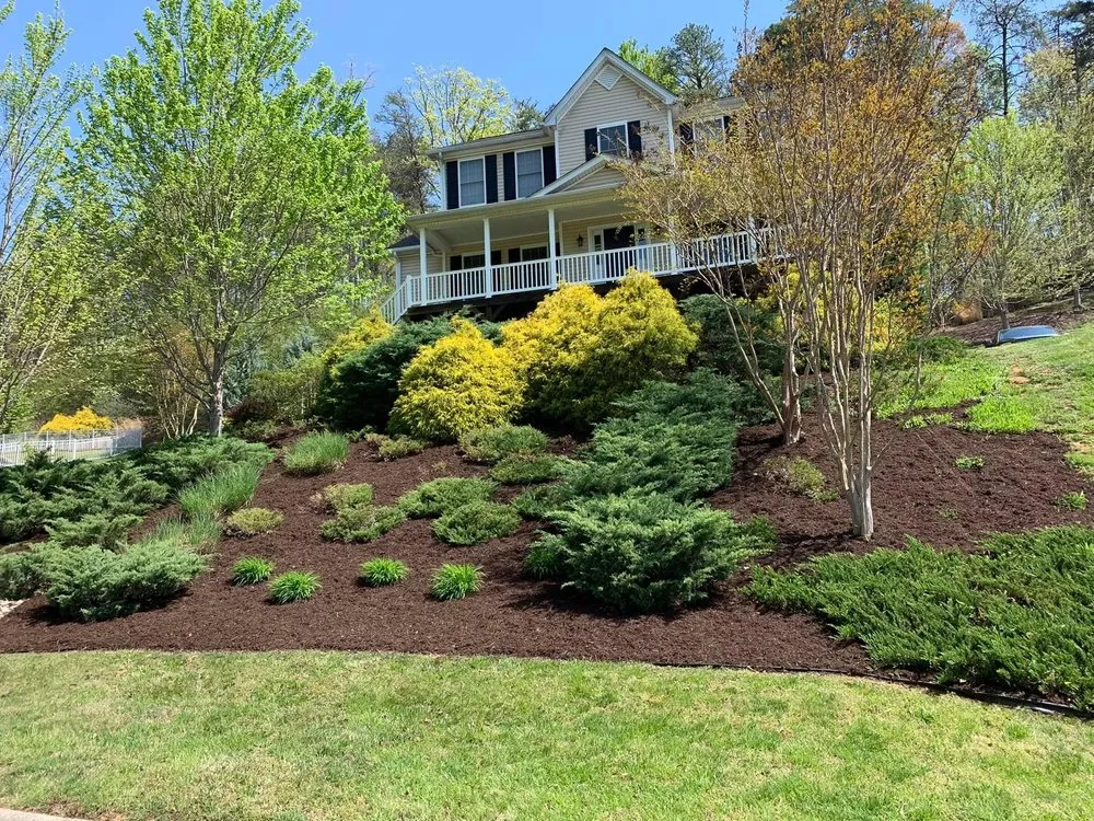Affordable yard cleanup service experts serving Salem, VA - CMB Landscaping