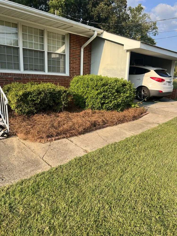 Professional yard cleanup service experts serving Concord, NC - CMB Lawn Care & Landscape