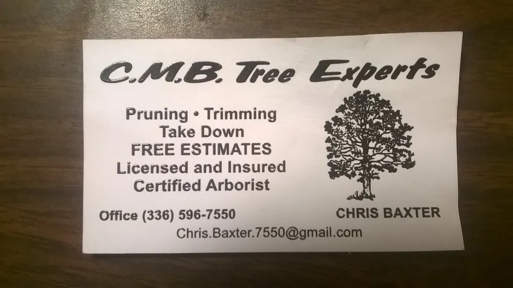 Custom lawn care service for outdoor upgrades in Thomasville, NC by CMB Tree Expert