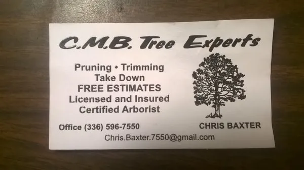 CMB Tree Expert Logo