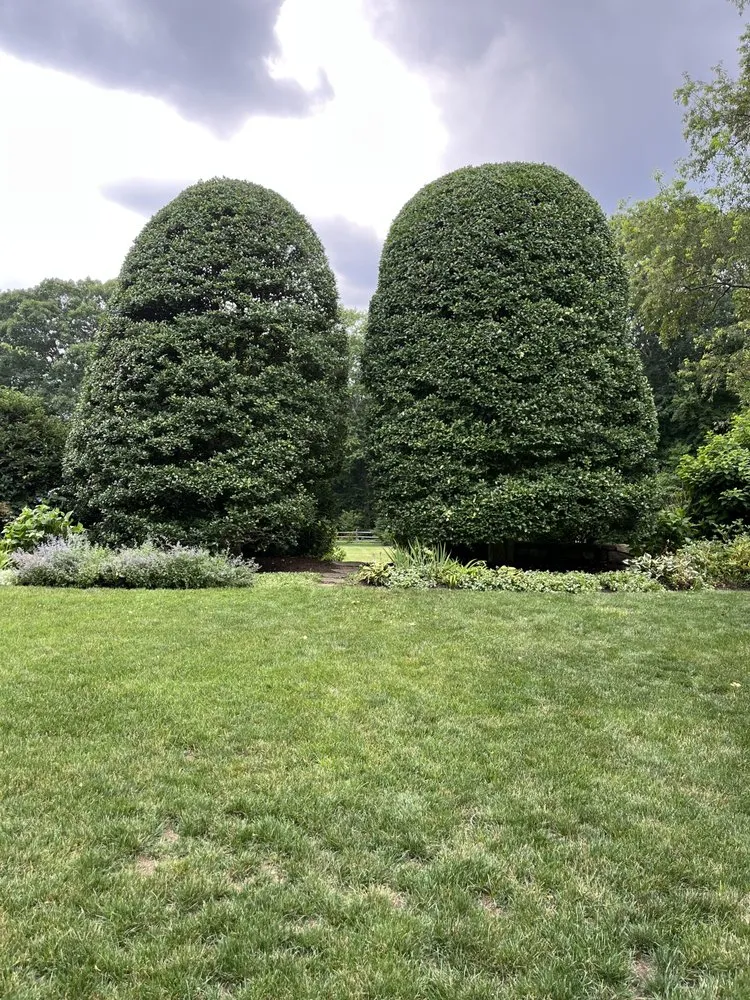 Top-rated landscape design near you across New Britain, CT - CMC Landscape