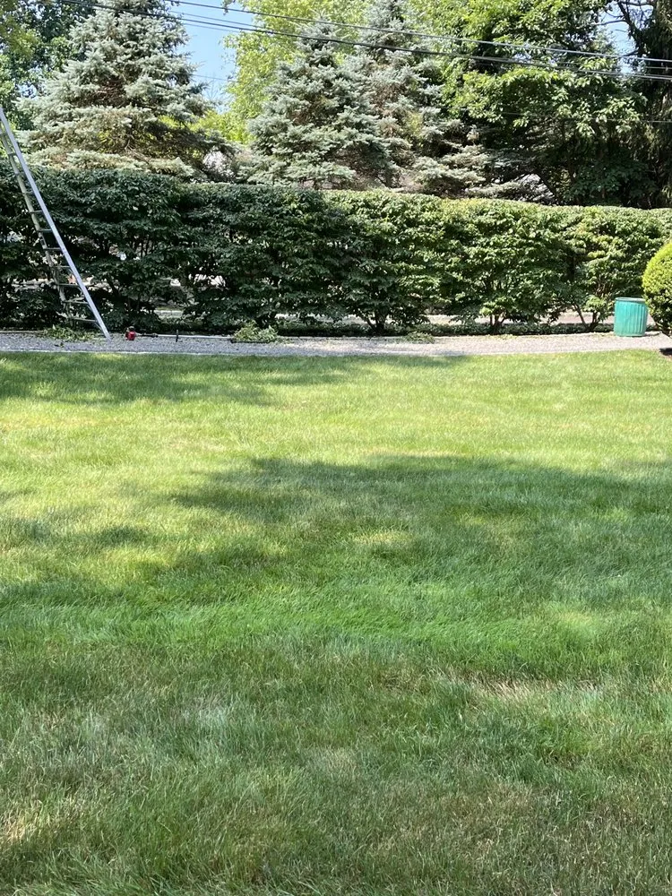 Custom landscape installation for residential properties in New Britain, CT by CMC Landscape