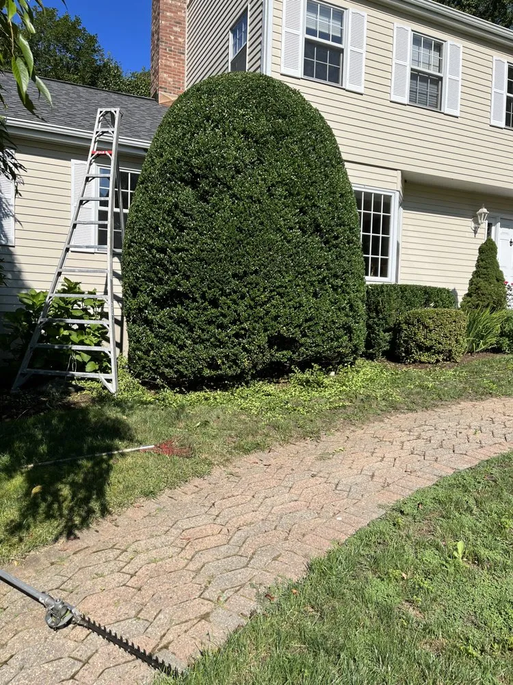 Local garden landscaping in New Britain, CT by CMC Landscape