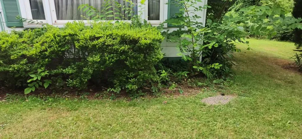 Professional landscaping services in Paxinos, PA - CMC Landscape