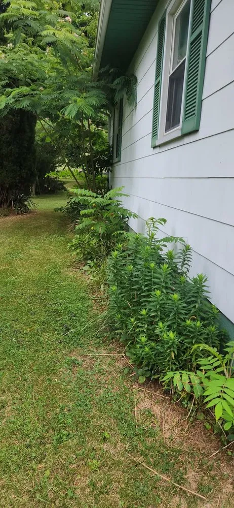 Trusted yard cleanup service in Paxinos, PA by CMC Landscape