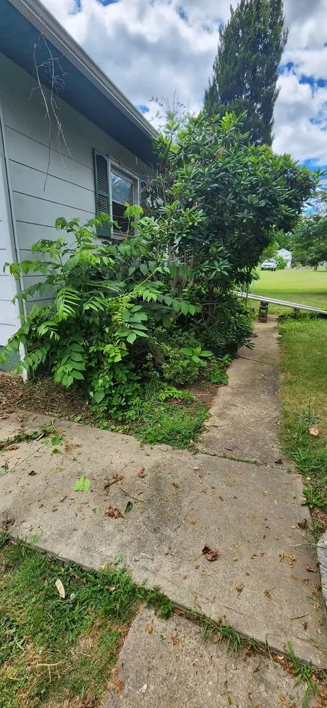 Custom yard cleanup service in Paxinos, PA - CMC Landscape