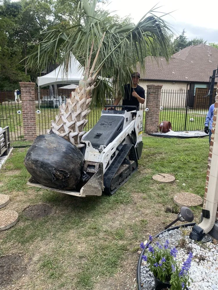 Reliable yard maintenance in Dallas, TX by CMC Landscaping and Construction