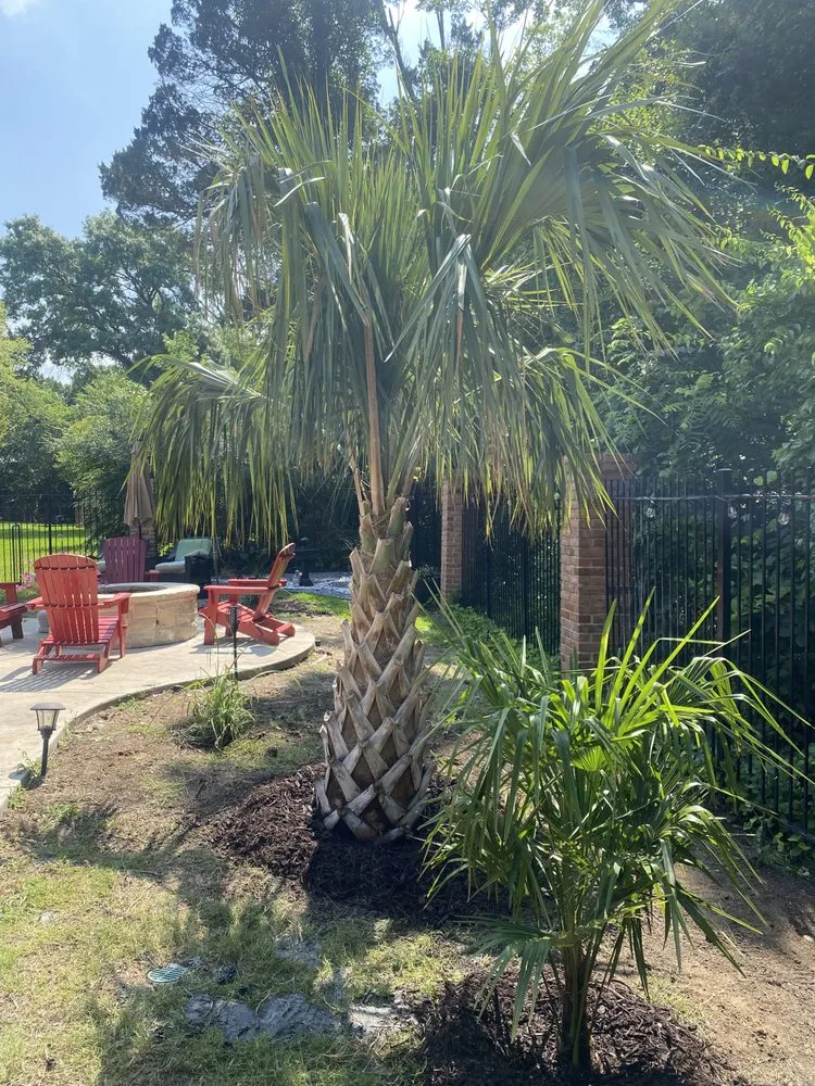 Reliable outdoor landscaping experts serving Dallas, TX - CMC Landscaping and Construction