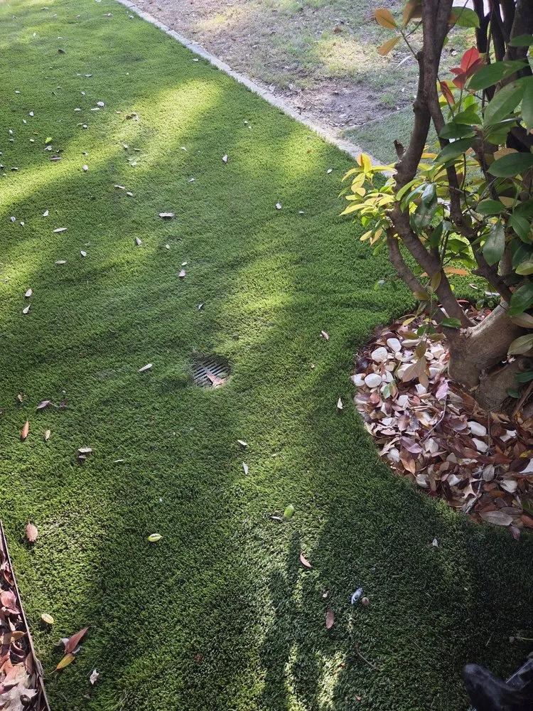 Local residential landscaping for homes in Dallas, TX by CMC Landscaping and Construction