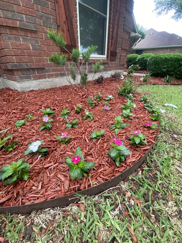 Custom lawn care service for beautiful yards across Dallas, TX - CMC Landscaping and Construction