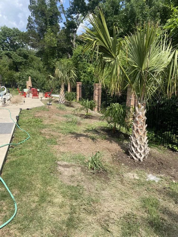 Custom yard maintenance for beautiful yards across Dallas, TX - CMC Landscaping and Construction
