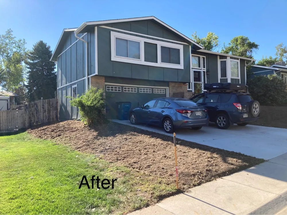 Affordable landscape design for year-round maintenance in Denver, CO by CMC Lawn & Home Maintenance