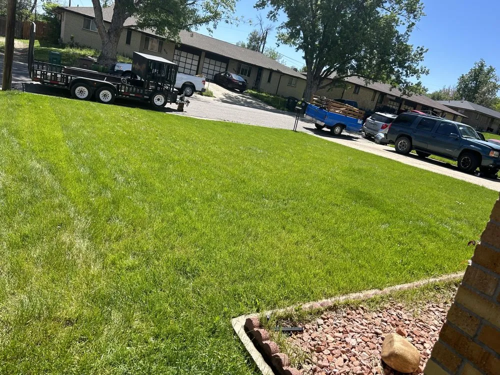 Professional landscape design in Denver, CO - CMC Lawn & Home Maintenance