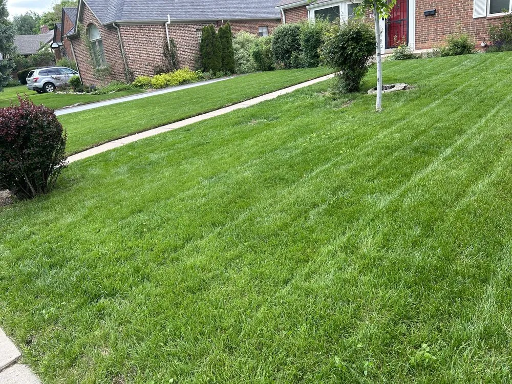 Expert yard cleanup service in Denver, CO - CMC Lawn & Home Maintenance
