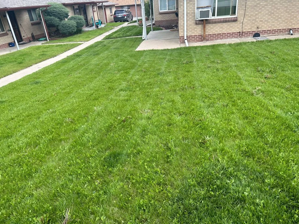 Local garden landscaping experts serving Denver, CO - CMC Lawn & Home Maintenance