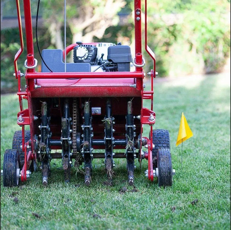 Trusted yard maintenance near you in Denver, CO by CMC Lawn & Home Maintenance