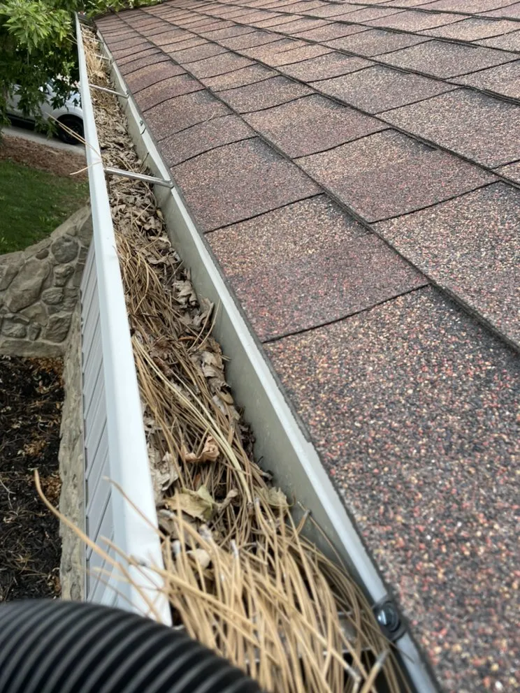 Local outdoor landscaping in Denver, CO by CMC Lawn & Home Maintenance