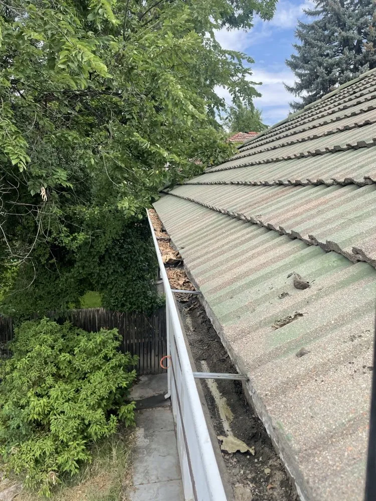 Trusted lawn care service for outdoor upgrades across Denver, CO - CMC Lawn & Home Maintenance