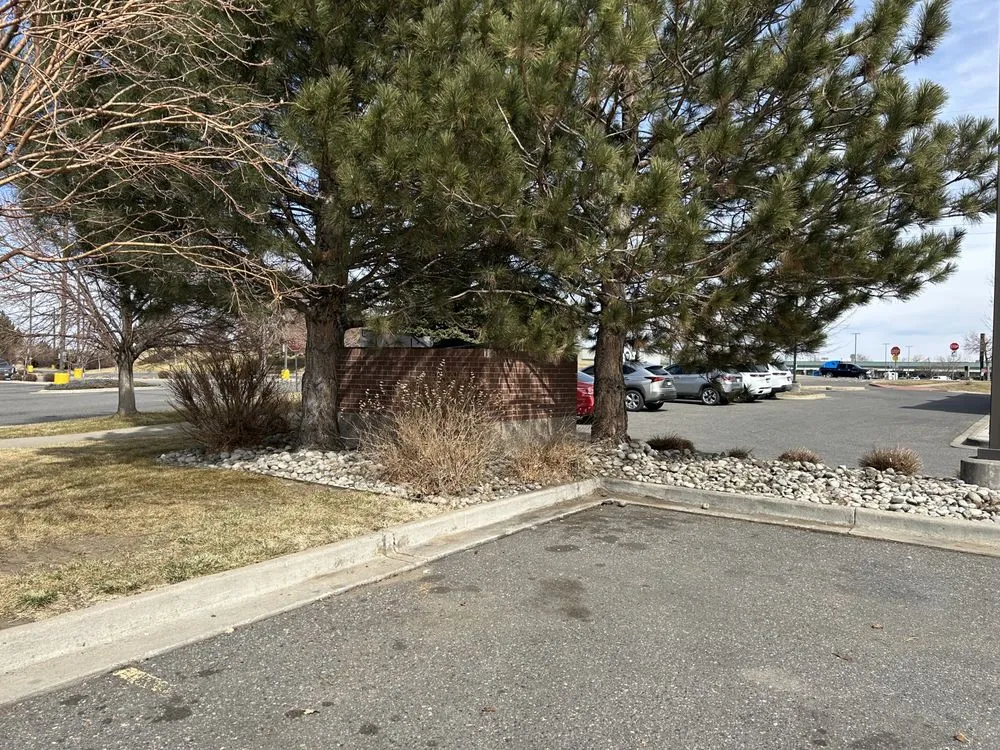 Reliable lawn care service in Denver, CO - CMC Lawn & Home Maintenance