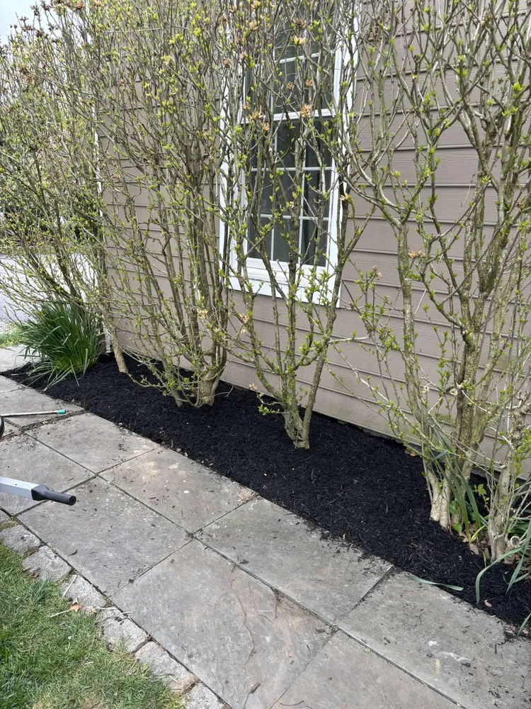 Trusted outdoor landscaping for homes across West Chester, PA - Cmc's Landscaping