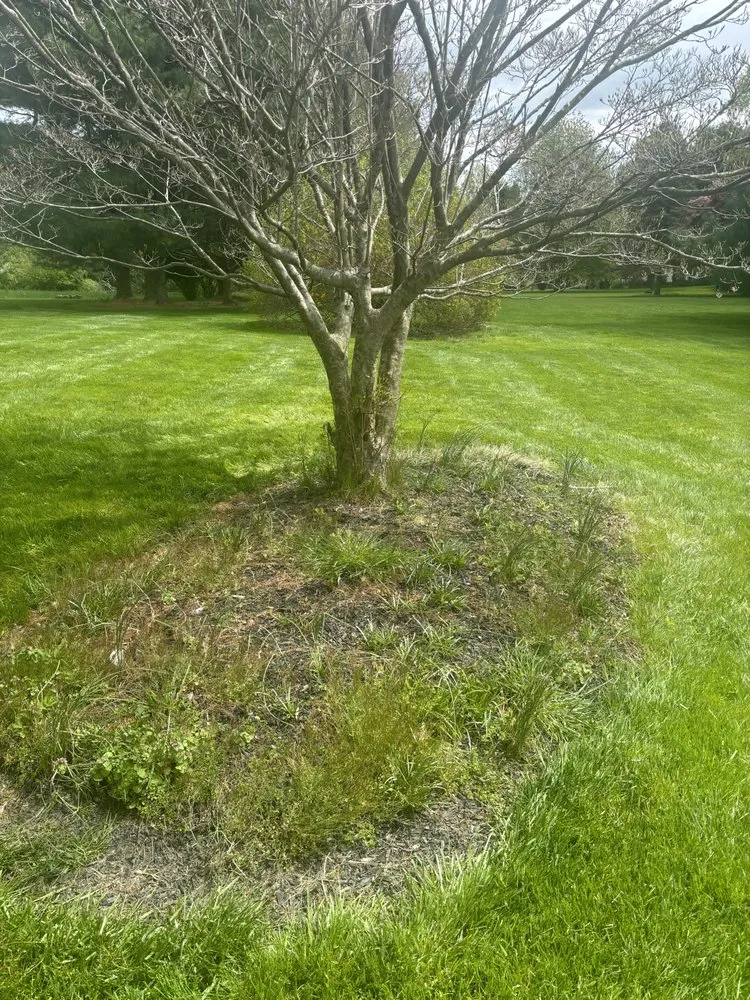 Trusted residential landscaping for residential properties in West Chester, PA by Cmc's Landscaping