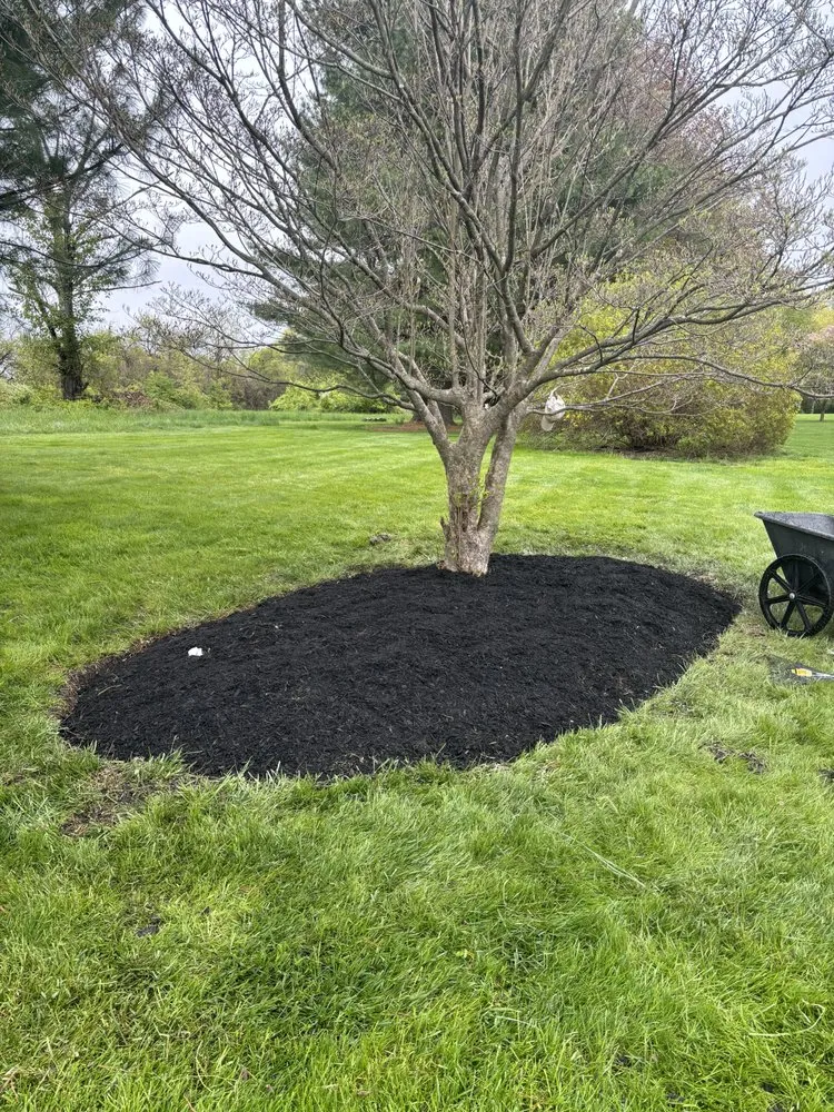 Top-rated outdoor landscaping in West Chester, PA - Cmc's Landscaping