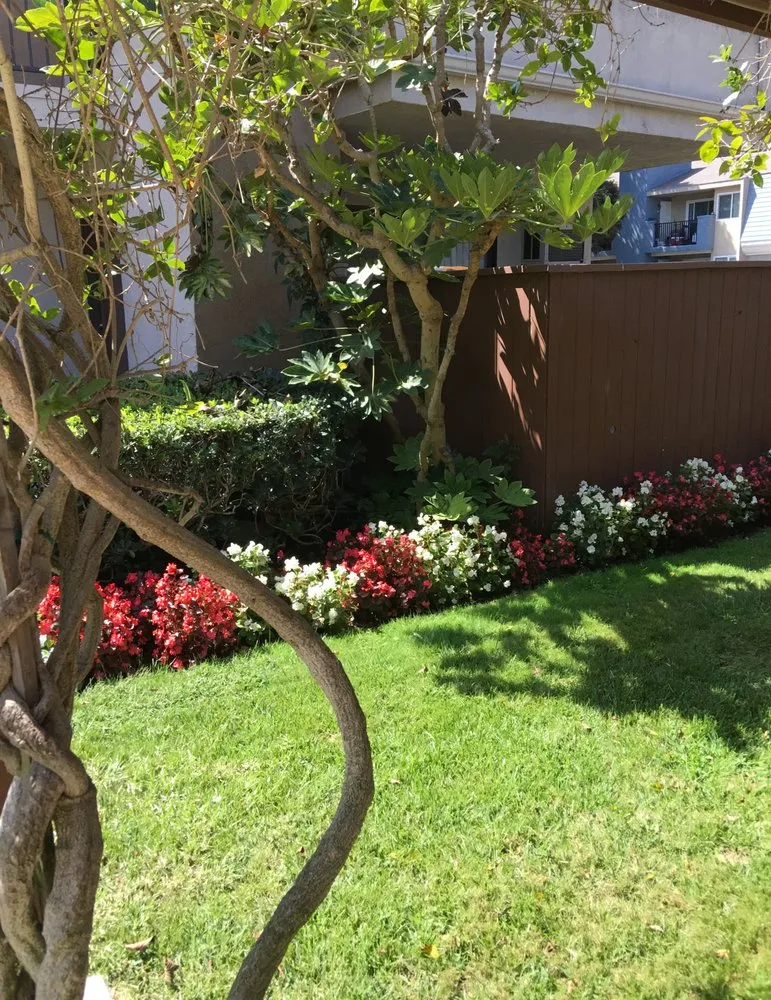 Top-rated landscaping services in South Gate, CA - CME Landscape