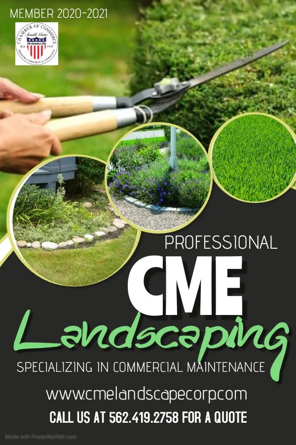Affordable yard cleanup service in South Gate, CA - CME Landscape