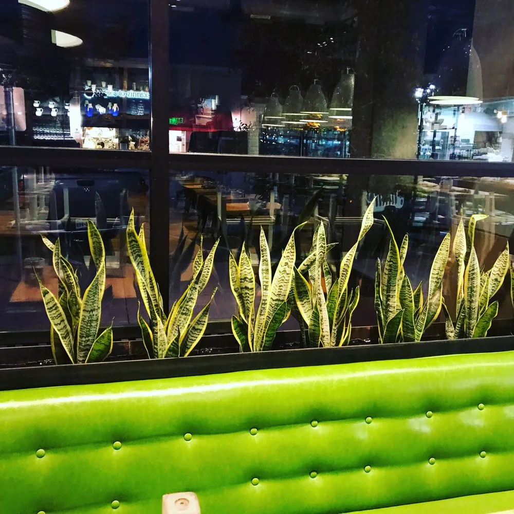 Local lawn care service experts serving Dallas, TX - CMG Landscape