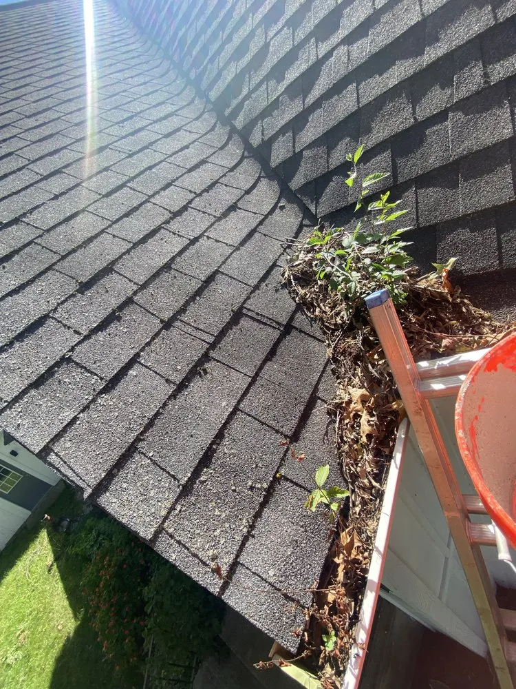 Custom garden landscaping for residential properties in McHenry, IL by CMG Landscaping Services