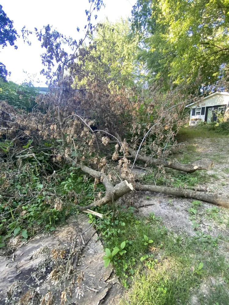 Affordable lawn care service near you across McHenry, IL - CMG Landscaping Services