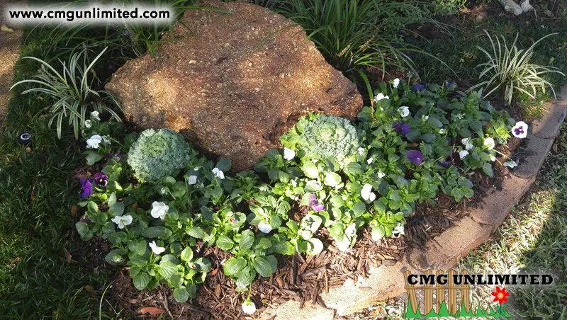 Professional yard maintenance with custom design in Crowley, TX by CMG Unlimited