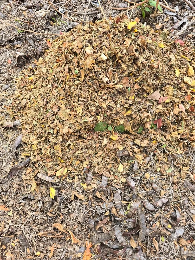 Affordable yard cleanup service in Columbus, OH - Cmi Landscaping