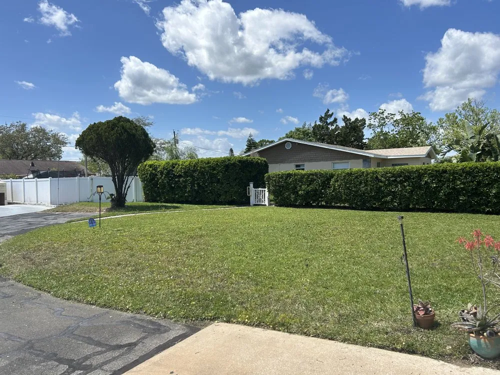 Local yard cleanup service in Saint Augustine, FL - CMKs Lawn Care