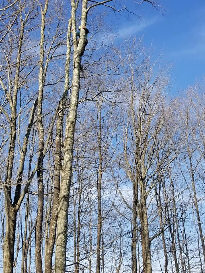 Professional landscape design in Brewster, NY by CML Landscaping