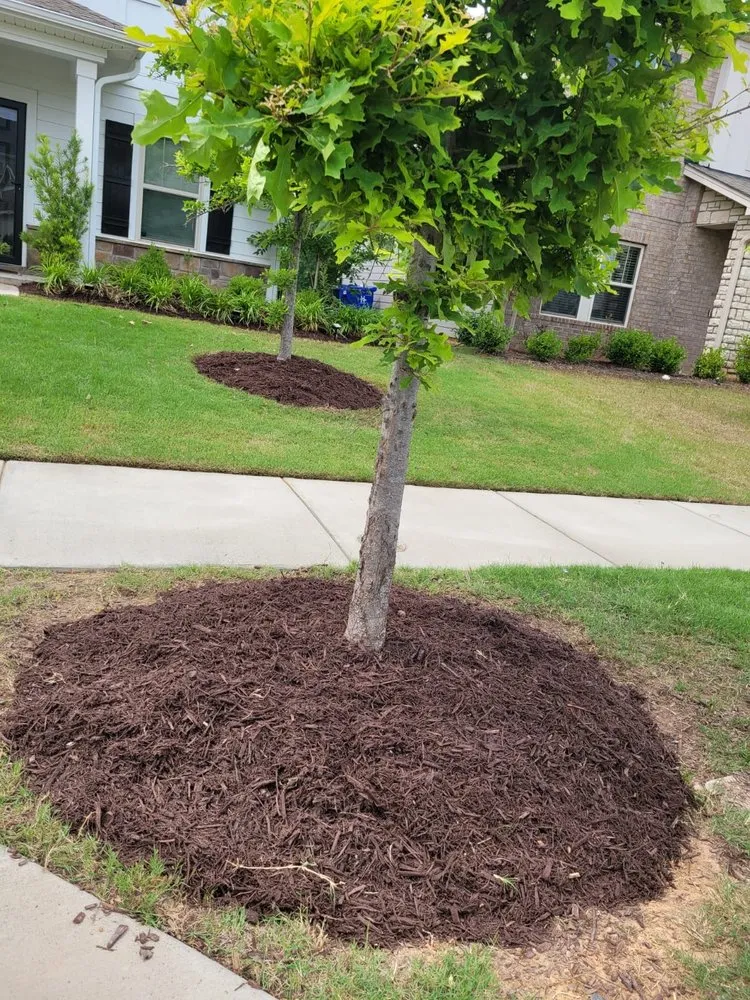 Reliable landscape design in Gastonia, NC by CML SERVICES