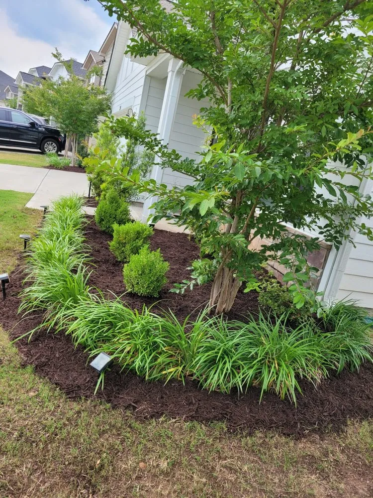 Professional landscape installation near you across Gastonia, NC - CML SERVICES