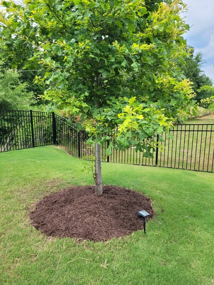 Professional residential landscaping for homes across Gastonia, NC - CML SERVICES