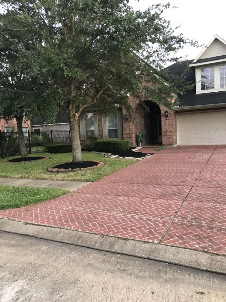 Expert residential landscaping experts serving Sugar Land, TX - CMM Landscaping