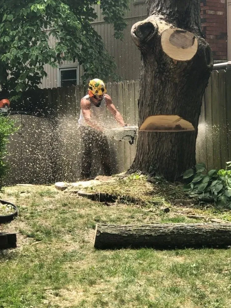 Local residential landscaping for year-round maintenance across Moundsville, WV - CMN