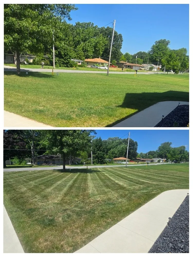 Affordable lawn care service experts serving Vandalia, MI - CMP Improvements