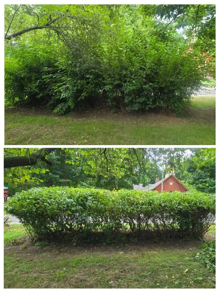 Affordable garden landscaping in Vandalia, MI - CMP Improvements