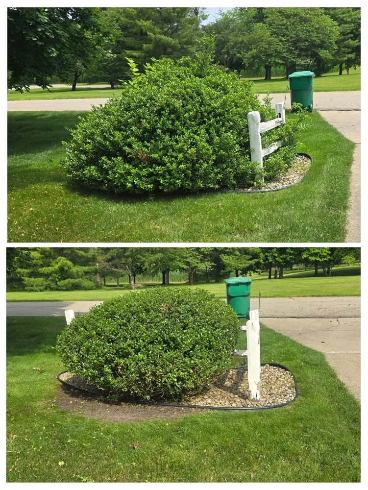 Professional outdoor landscaping experts serving Vandalia, MI - CMP Improvements